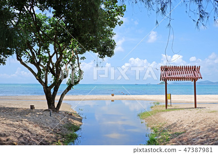 beach, coastline, tree, sky, cloud with reflection beach, coastline, tree, sky, cloud with reflection 47387981