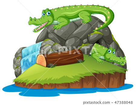 Crocodile on the isolated island 47388048