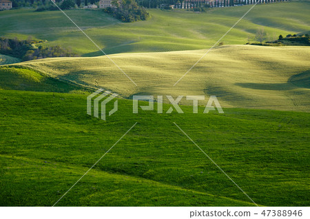 Spring Tuscany hills and meadows in Italy Spring Tuscany hills and meadows in Italy 47388946