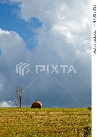 Hay bales on the field after harvest, Tuscany, Hay bales on the field after harvest, Tuscany, 47388952