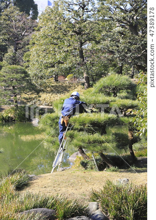 Craftsman managing the plant Craftsman managing the plant 47389178
