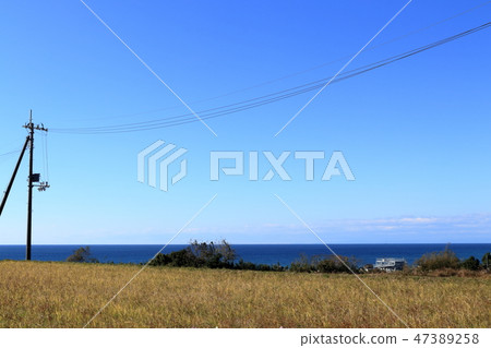 從Ichigo-dong(高知縣安藝市)回來的路上 從Ichigo-dong(高知縣安藝市)回來的路上 47389258