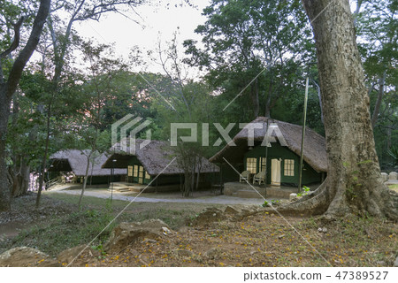 Jungle Lodges and Resort's forest camp at Kabini Jungle Lodges and Resort's forest camp at Kabini 47389527