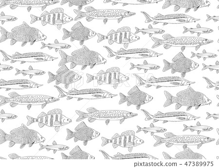 Fish collection, seamless pattern for your design Fish collection, seamless pattern for your design 47389975