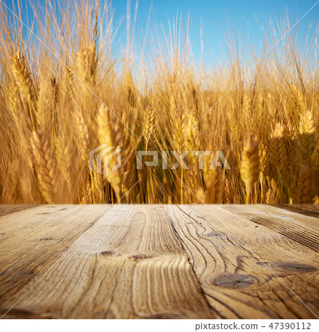 Empty wooden deck over wheat field background 47390112