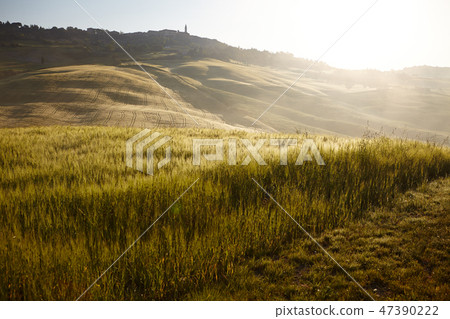 Tuscany hills Tuscany hills 47390222