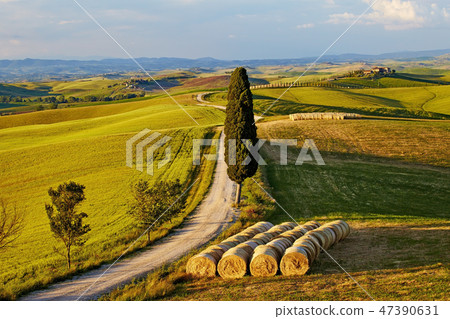 Beautiful Italy Tuscan landscape Beautiful Italy Tuscan landscape 47390631
