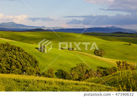 Beautiful Italy Tuscan landscape Beautiful Italy Tuscan landscape 47390632