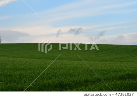 Biei no Oka Biei no Oka 47391027