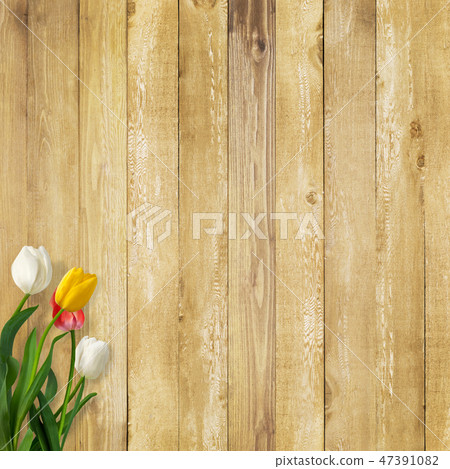 Background - Wall - Board - Wood grain - Brown - Tulip - Spring 47391082