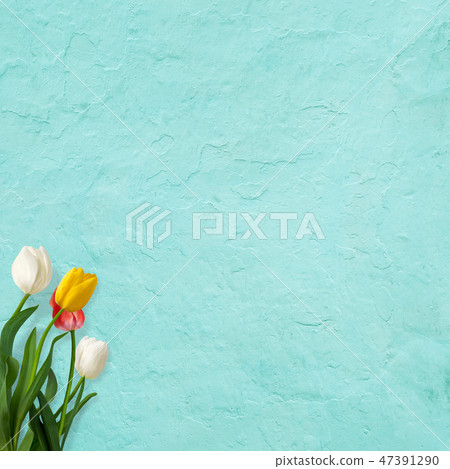 Background - Wall - Spring - Blue - Tulip 47391290