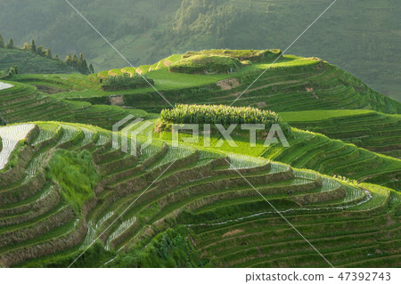 Longsheng rice terraces landscape in China Longsheng rice terraces landscape in China 47392743