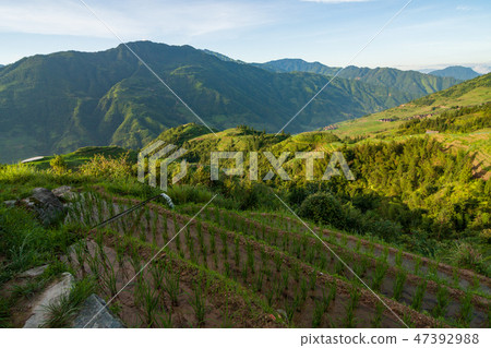 Longsheng rice terraces landscape in China Longsheng rice terraces landscape in China 47392988