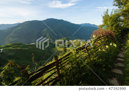 Longsheng rice terraces landscape in China Longsheng rice terraces landscape in China 47392990
