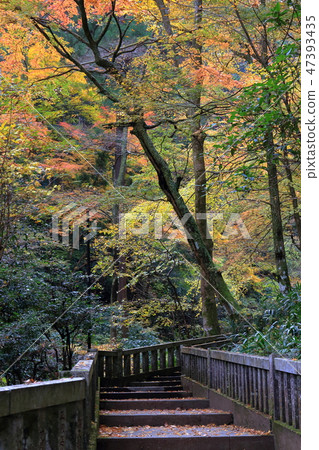 Ozuyama sonoe sonomi寺廟Godo入口秋葉 47393435