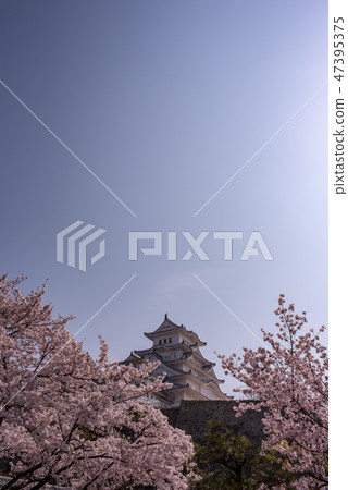 Historic site Himeji Castle - Spring - 47395375