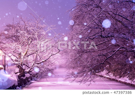 Hirosaki Castle Lighting up in winter Hirosaki Castle Lighting up in winter 47397386