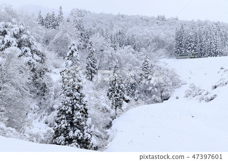 Yasuka-no-Yasaka Line 47397601