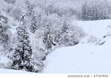 Yasuka-no-Yasaka Line 47397602