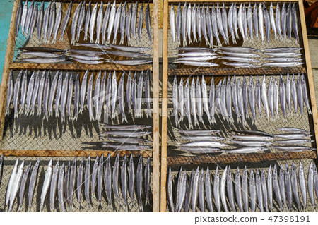 乾魚乾酪 47398191