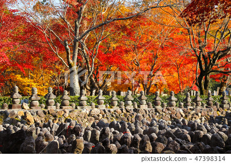 Autumn Wild Buddha Temple in Autumn 47398314