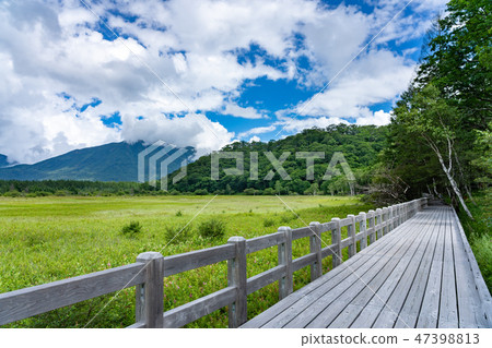 Nikko City, Tochigi Prefecture Okuhiko Odashihara Masuyama (August) 47398813