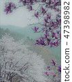 Illustration-like landscape with magnolias, blurred cherry blossoms and mountain copy space 47398982
