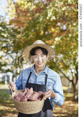 Farmer, agriculture, rural, young, ear, harvest, cultivation, nature, organic 47400007