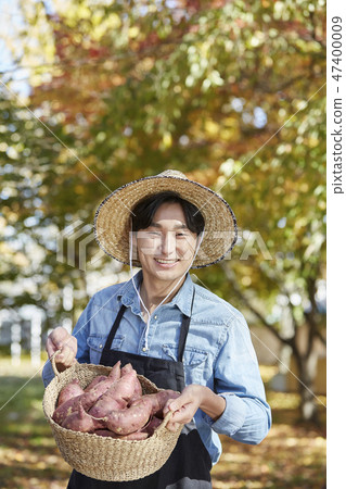 Farmer, agriculture, rural, young, ear, harvest, cultivation, nature, organic 47400009