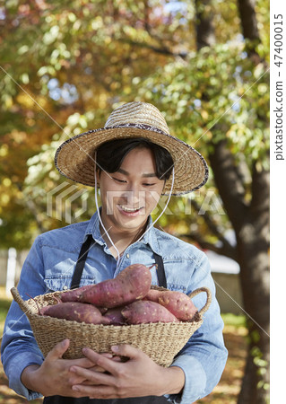 Farmer, agriculture, rural, young, ear, harvest, cultivation, nature, organic 47400015