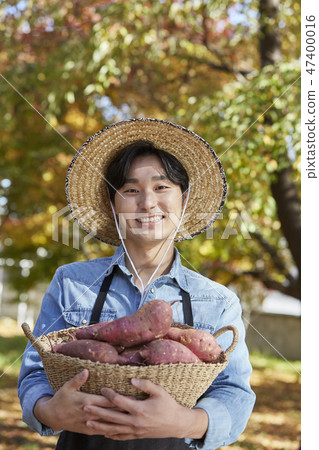 Farmer, agriculture, rural, young, ear, harvest, cultivation, nature, organic 47400016