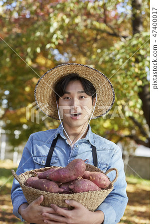 Farmer, agriculture, rural, young, ear, harvest, cultivation, nature, organic 47400017