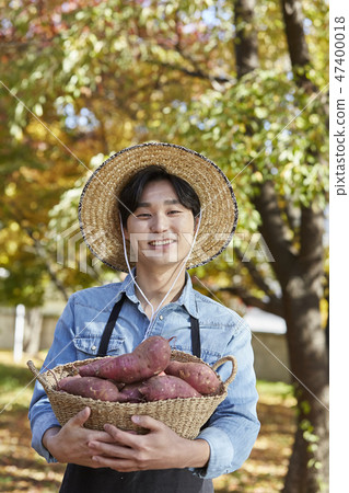 Farmer, agriculture, rural, young, ear, harvest, cultivation, nature, organic 47400018