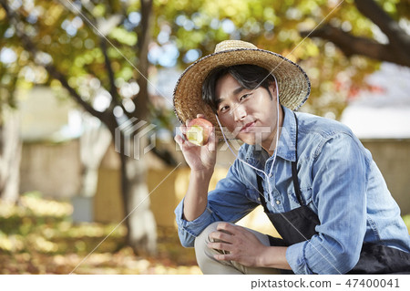 Farmer, agriculture, rural, young, ear, harvest, cultivation, fruit, apple 47400041