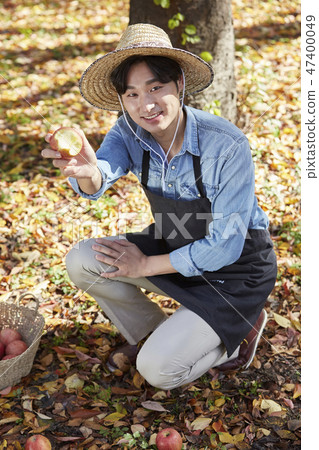 農民，農業，農村，年輕，耳朵，收穫，種植，水果，蘋果 47400049