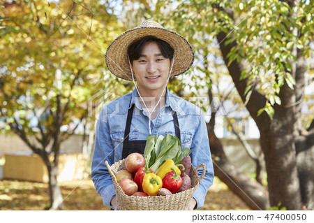 秋天，農民，農村，年輕，收穫，耕種，蔬菜，蔬菜，水果，有機 47400050