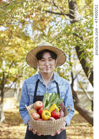 Autumn, farmer, countryside, young, harvest, cultivation, vegetables, vegetables, fruit, organic 47400052