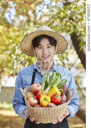Autumn, farmer, countryside, young, harvest, cultivation, vegetables, vegetables, fruit, organic 47400053