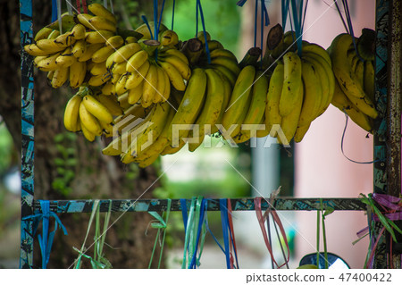 banana banana 47400422