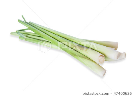 Lemon grass isolated on white Lemon grass isolated on white 47400626