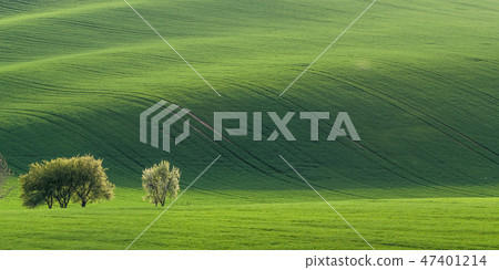 Panorama with green field Panorama with green field 47401214