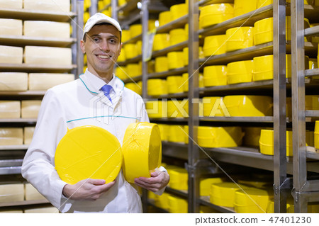 man holding a head of cheese at a dairy plant 47401230