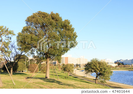 大森家鄉海灘公園 47401644