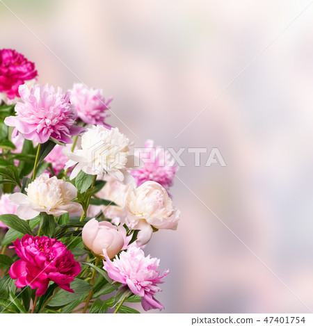Amazing floral background Amazing floral background 47401754