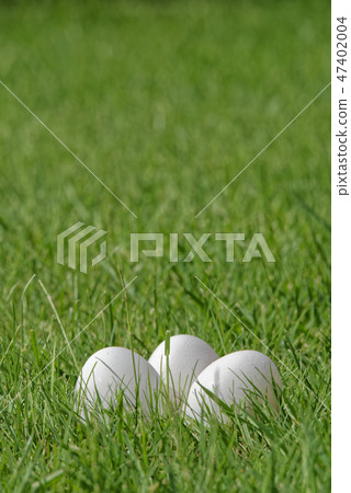 three white Easter eggs in green grass three white Easter eggs in green grass 47402004