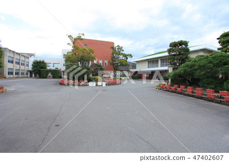 東川川白鳥小學 47402607