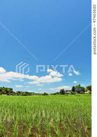 Blue sky of summer and rural scenery of calm 47403680