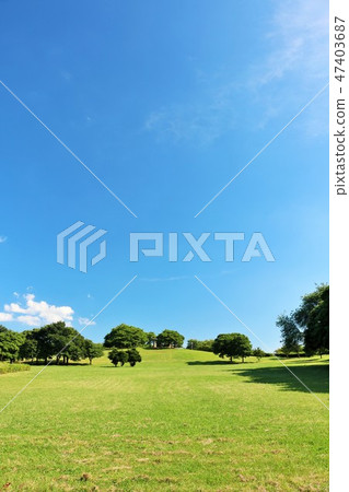 刷新的藍天和公園風景 47403687