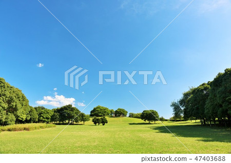 刷新的藍天和公園風景 47403688