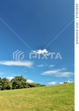 刷新的藍天和公園風景 47403689